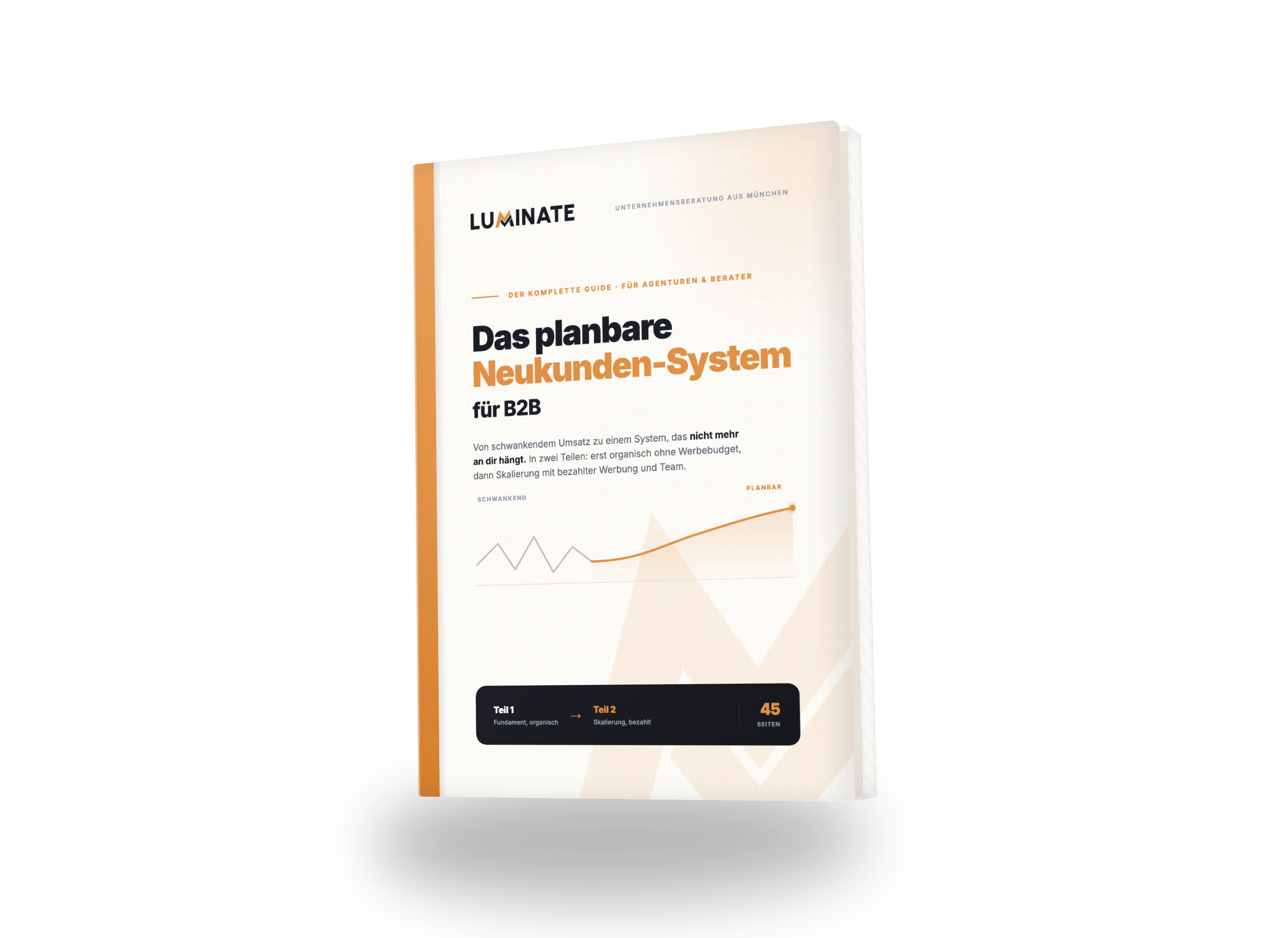 Luminate Guide: Das planbare Neukunden-System für B2B